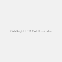 Gel-Bright LED Gel Illuminator